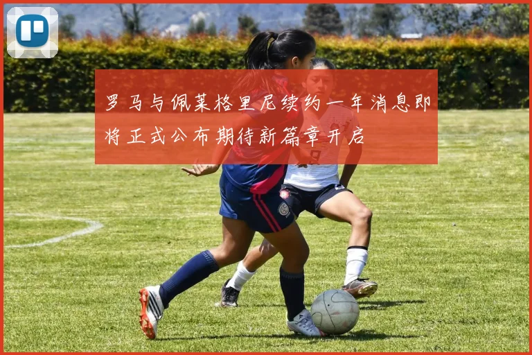 罗马与佩莱格里尼续约一年消息即将正式公布期待新篇章开启